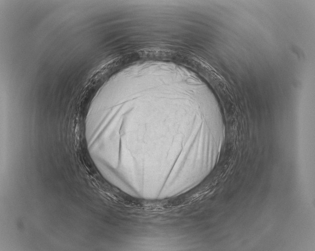 X0000115630870200912081041