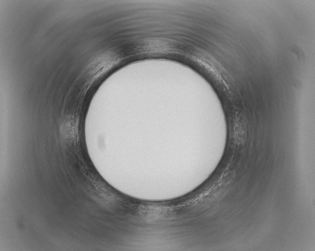X0000115630873200912081041