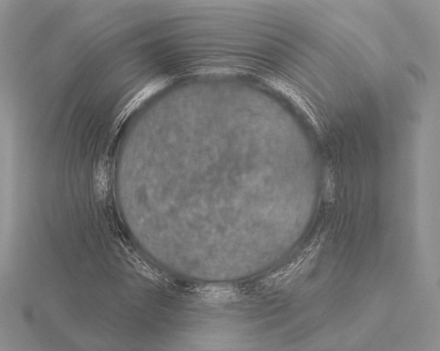X0000115630874200912081041