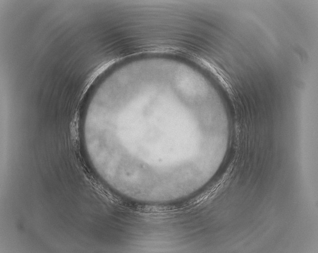 X0000115630875200912081041