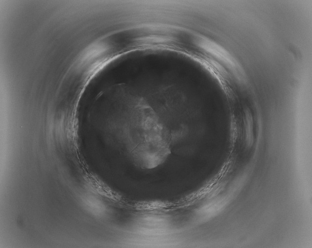 X0000115630879200912081041