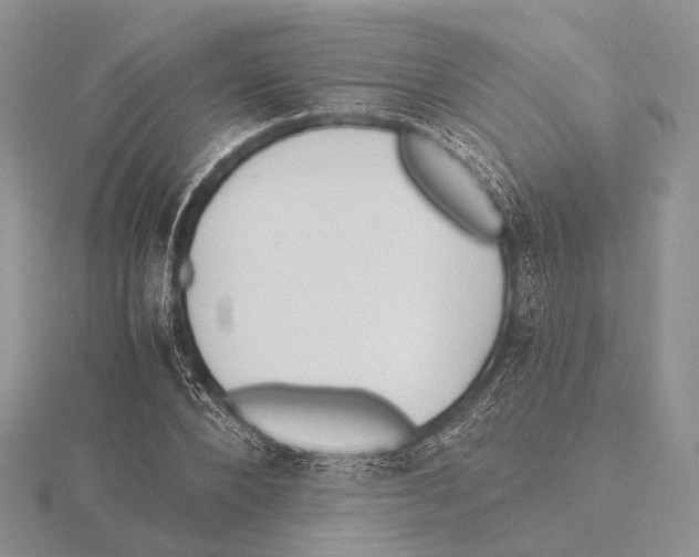 X0000115630880200912081041