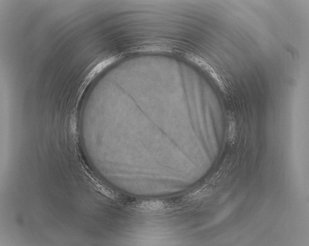 X0000115630882200912081041