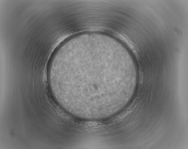 X0000115630883200912081041