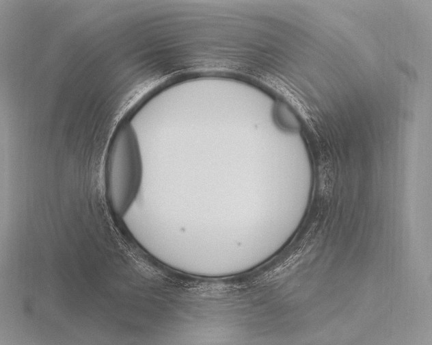 X0000115630885200912081041
