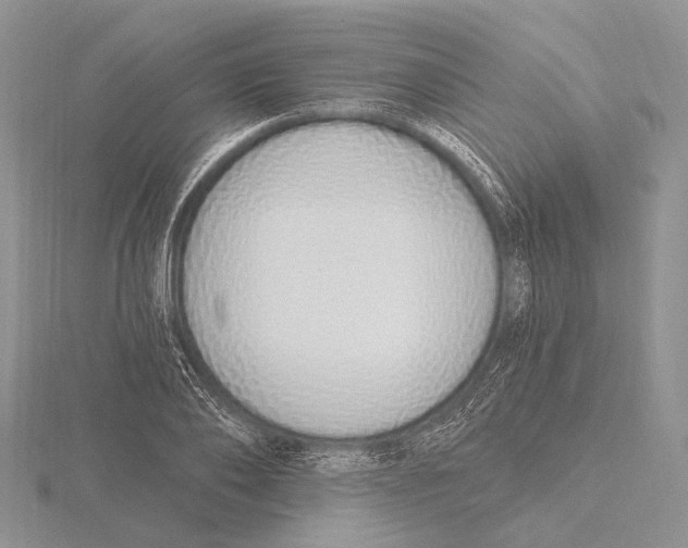 X0000115630886200912081041