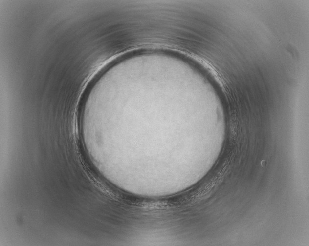 X0000115630887200912081041