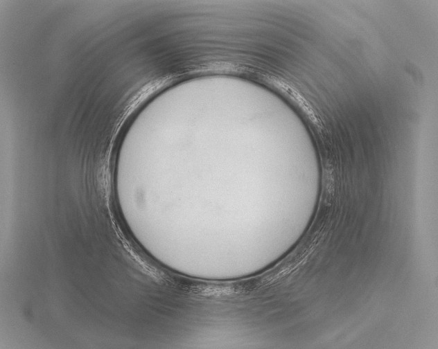 X0000115630890200912081041