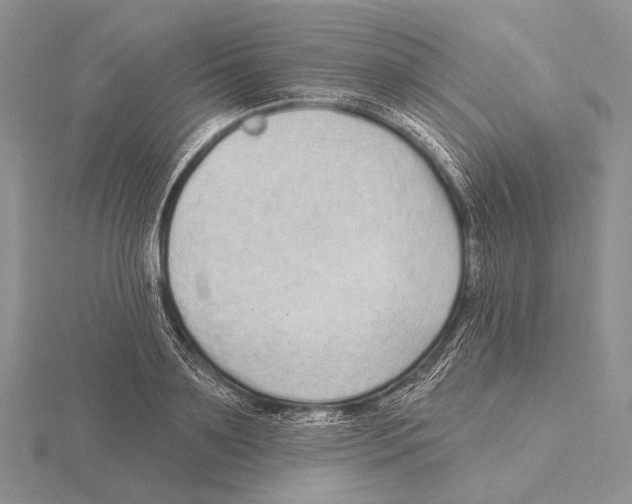 X0000115630891200912081041