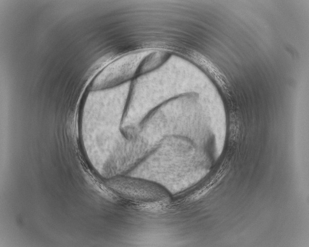 X0000115630892200912081041