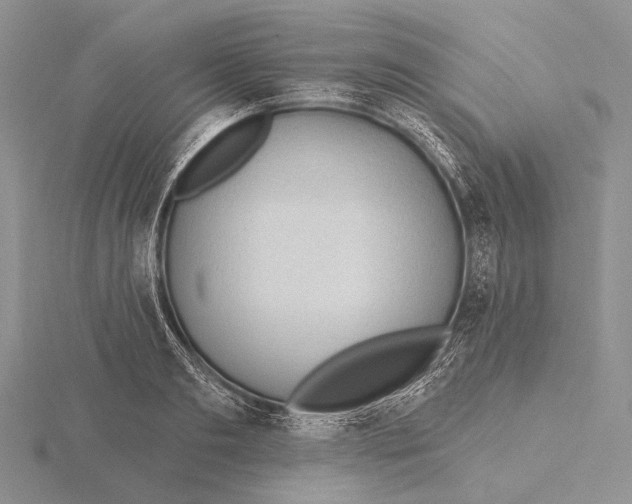 X0000115630893200912081041