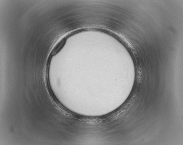 X0000115630895200912081041