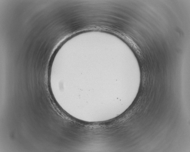 X0000115630896200912081041