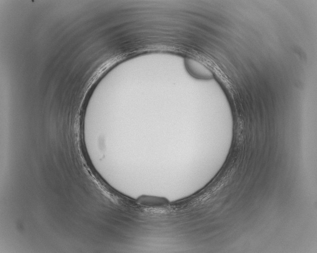 X0000115630898200912081041