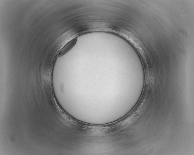 X0000115630905200912081041