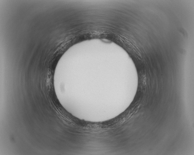 X0000115630914200912081040
