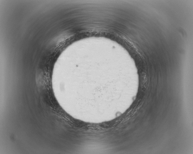 X0000115630918200912081040
