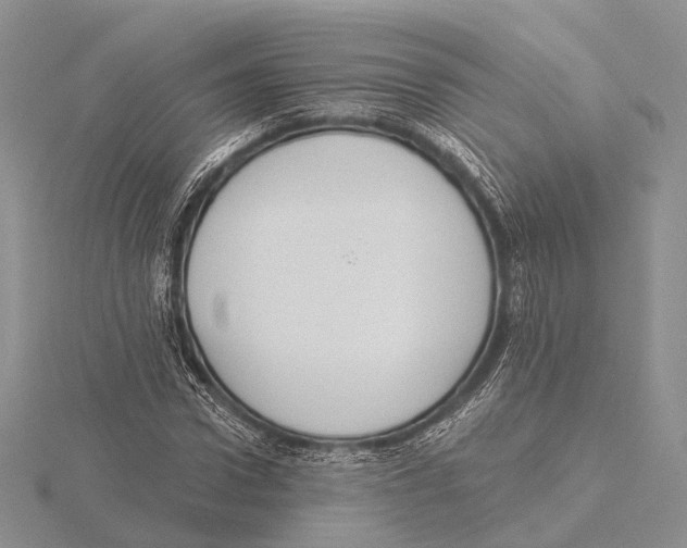 X0000115630922200912081040