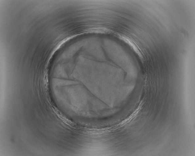 X0000115630923200912081040