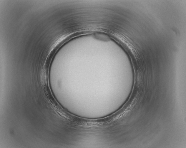 X0000115630925200912081040