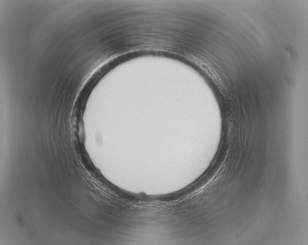 X0000115630926200912081040