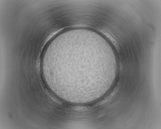 X0000115630933200912081040