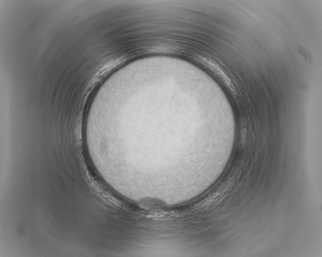 X0000115630938200912081040