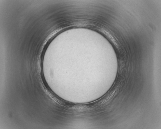 X0000115630939200912081040