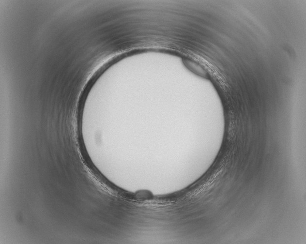 X0000115630942200912081040