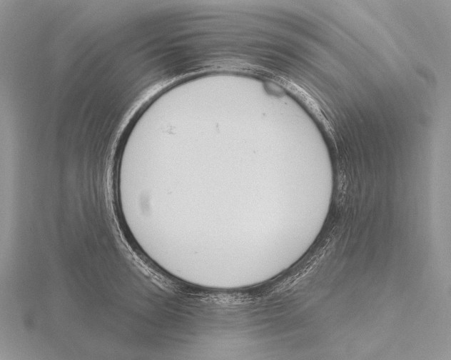 X0000115630947200912081040