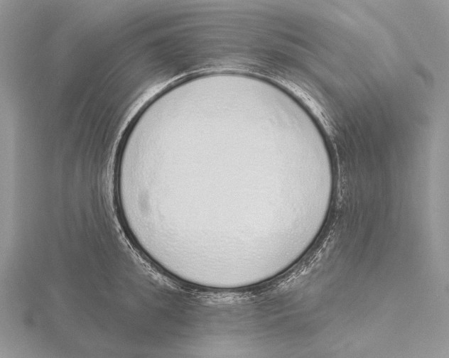 X0000115630949200912081040