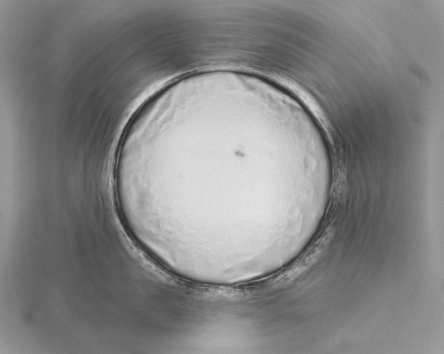 X0000115630957200912081041