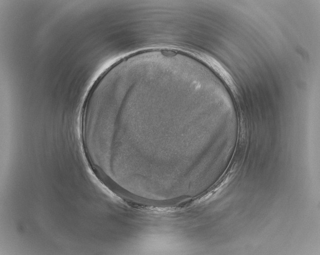 X0000115630958200912081041