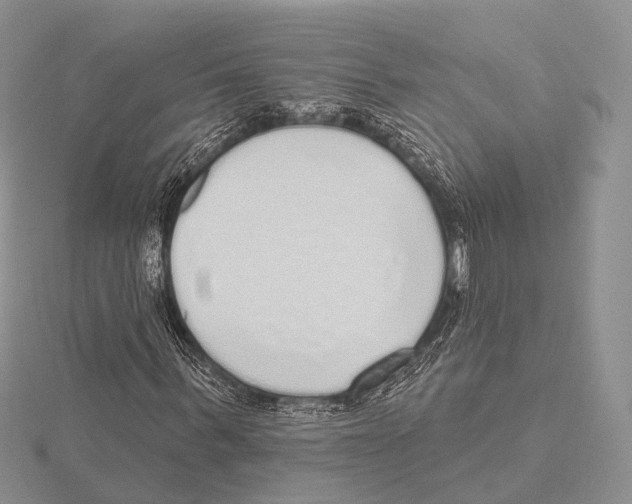 X0000115630963200912081040