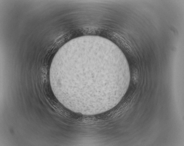 X0000115630964200912081040