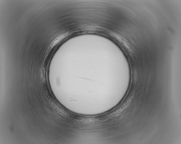 X0000115630970200912081040