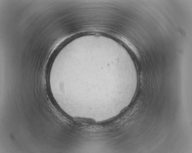 X0000115630972200912081040