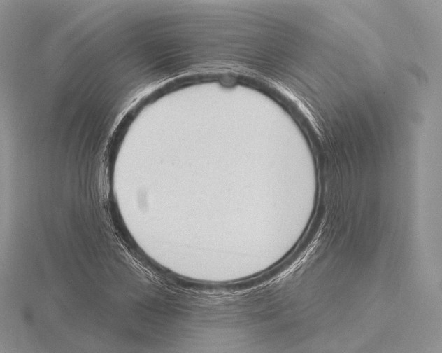 X0000115630973200912081040