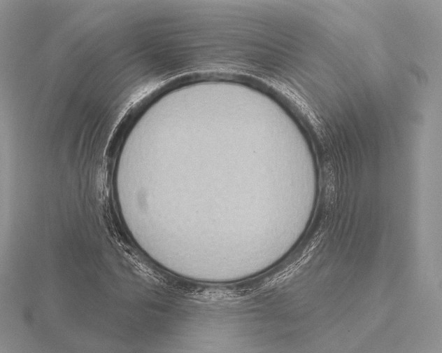 X0000115630974200912081040