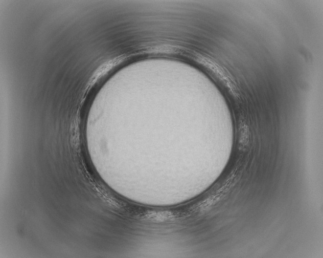X0000115630978200912081040