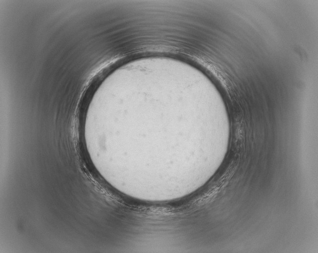 X0000115630979200912081040