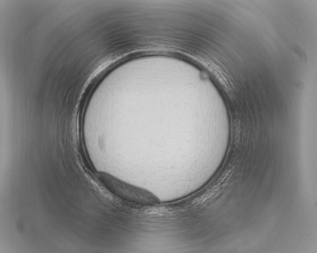X0000115630982200912081040