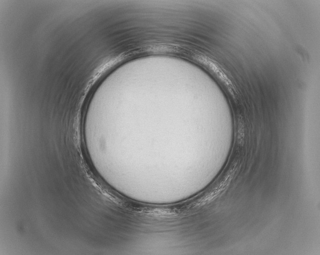X0000115630986200912081040