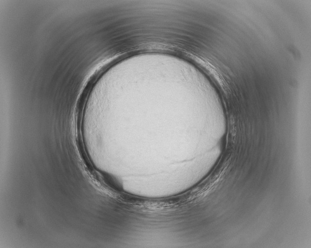 X0000115630987200912081040