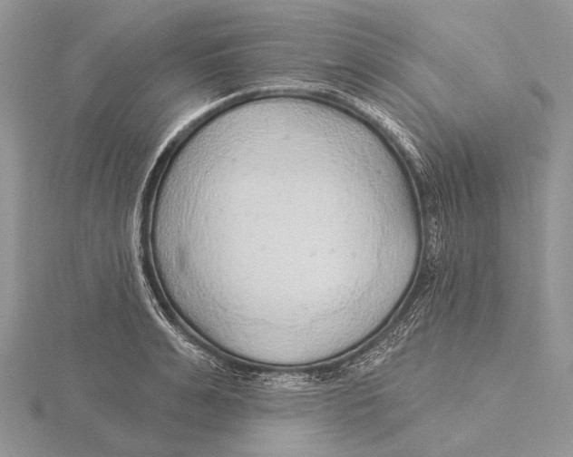 X0000115630991200912081040