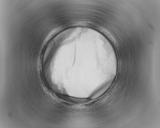 X0000115630994200912081040