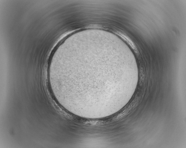 X0000115631000200912081039