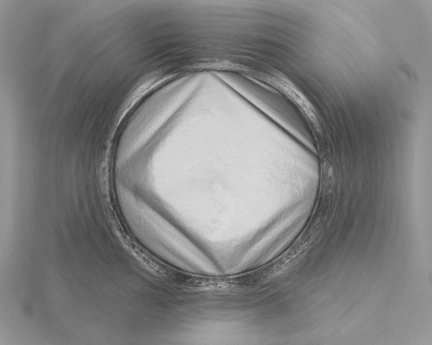 X0000115631002200912081039