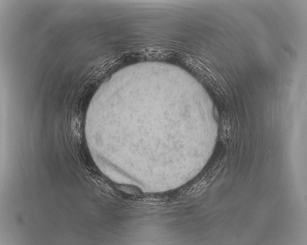 X0000115631010200912081039