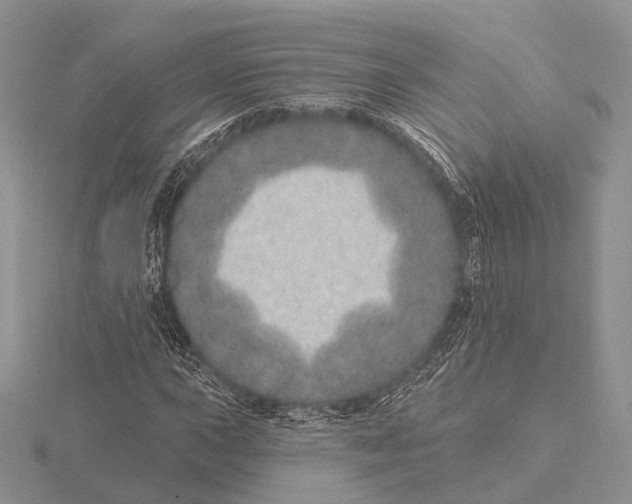 X0000115631015200912081039